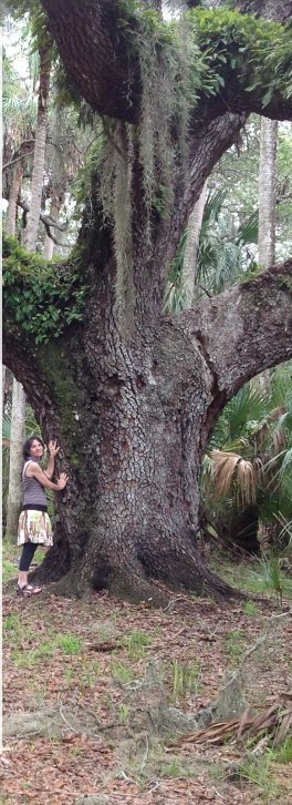 Heume, nature revealer
