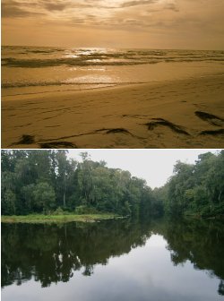 Waters of the World
